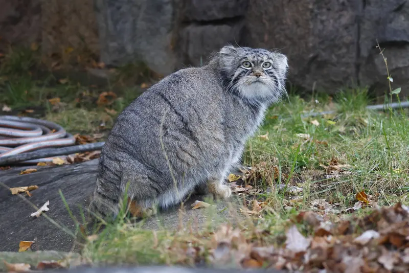 A photograph of Timofey in Moscow zoo