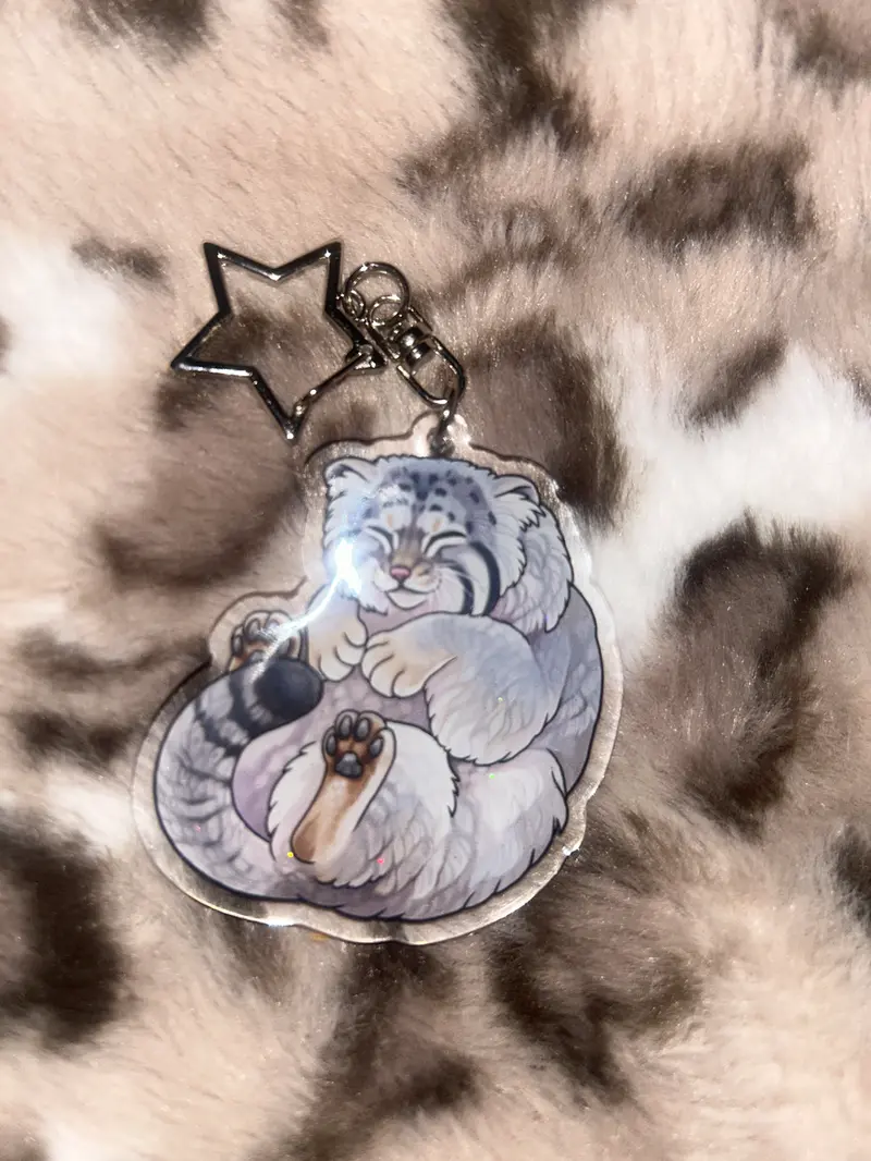 A keychain with a Pallas's cat that I was given for my birthday ♡