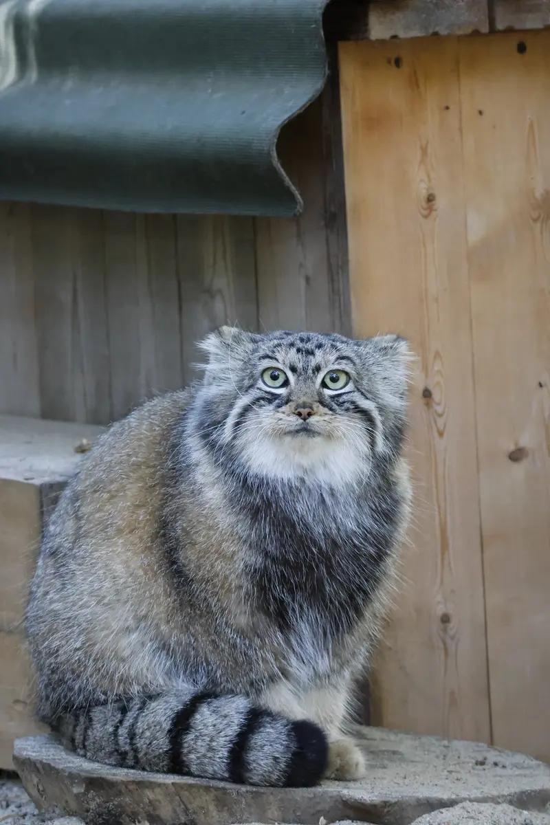 A photograph of Anya in Novosibirsk Zoo