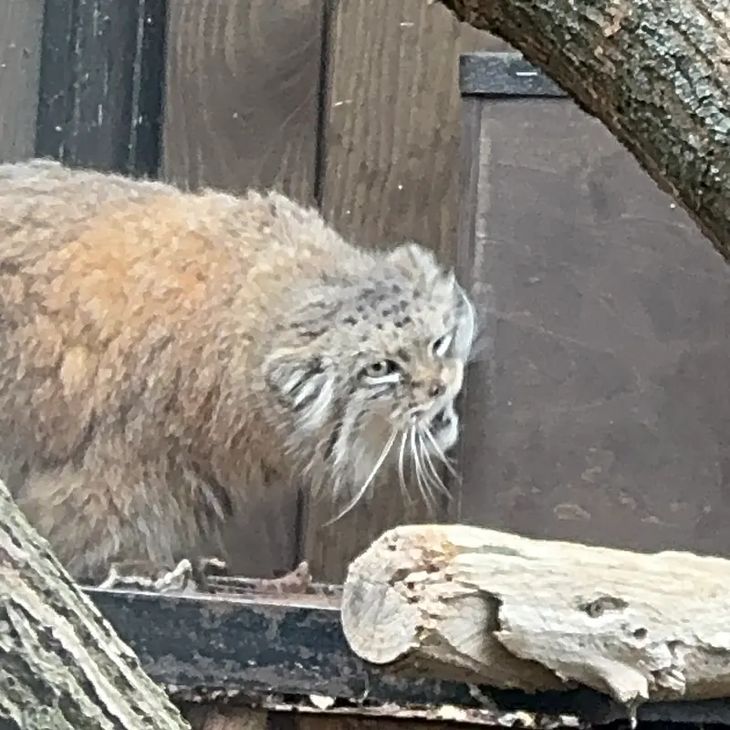 A photograph of Jessie in Warsaw Zoo