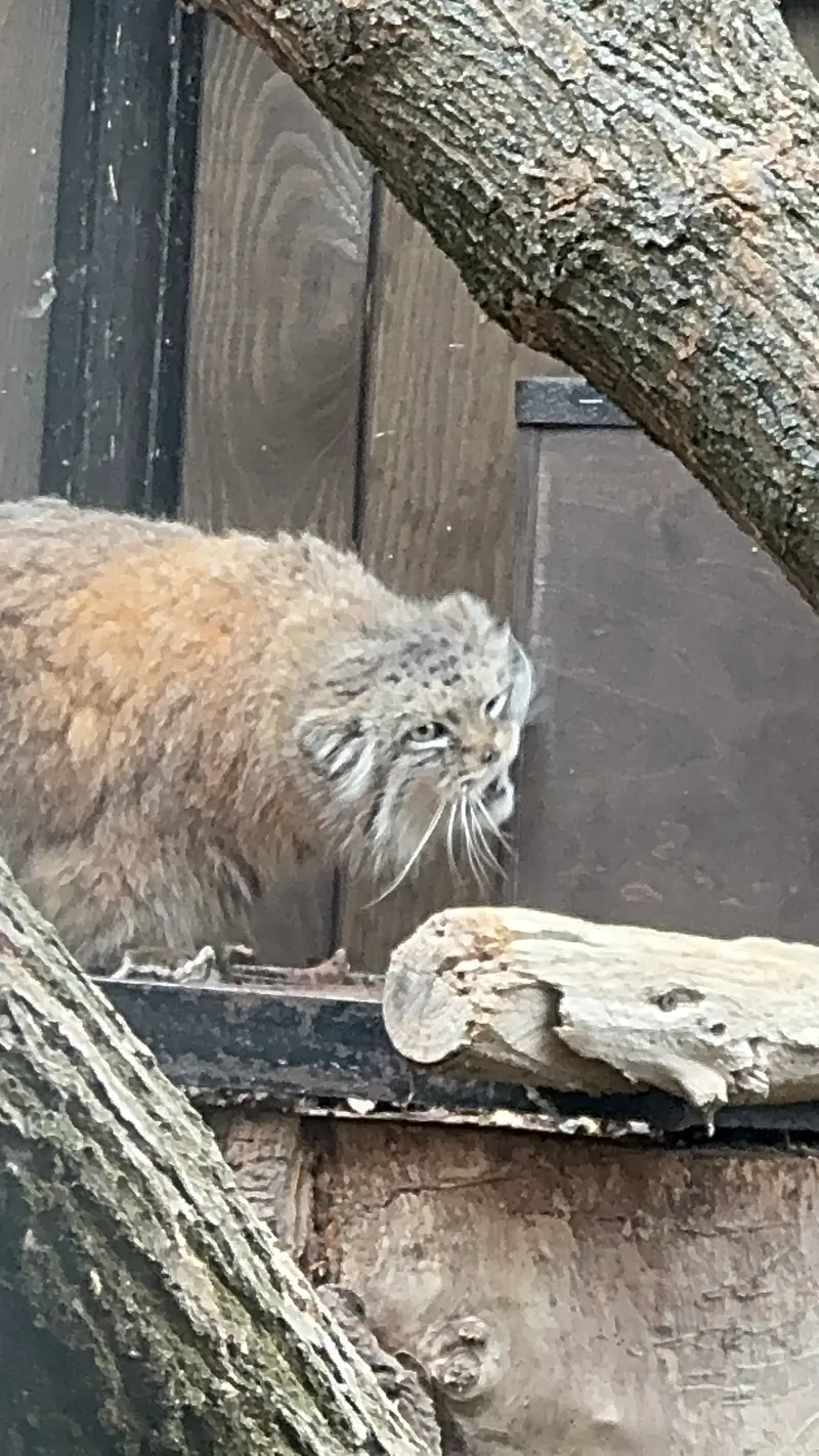A photograph of Jessie in Warsaw Zoo