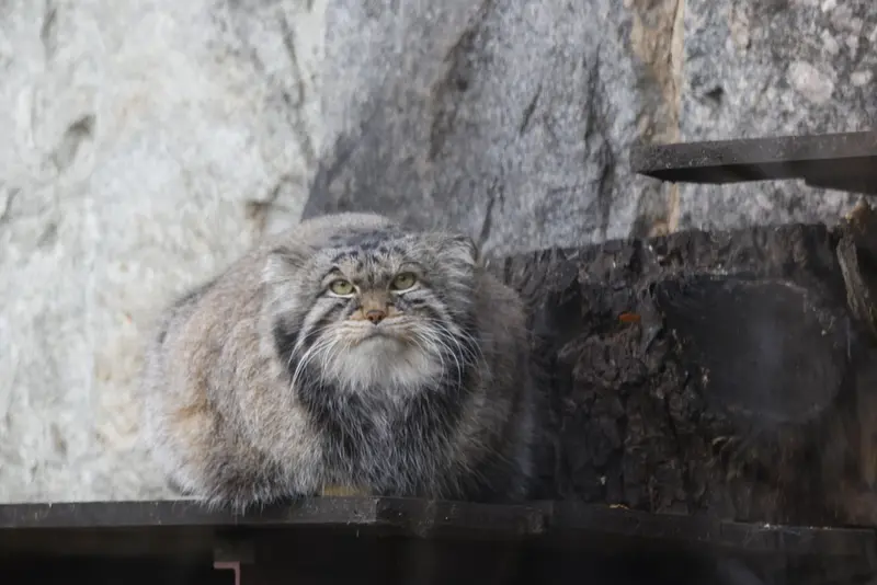 A photograph of Timofey in Moscow zoo