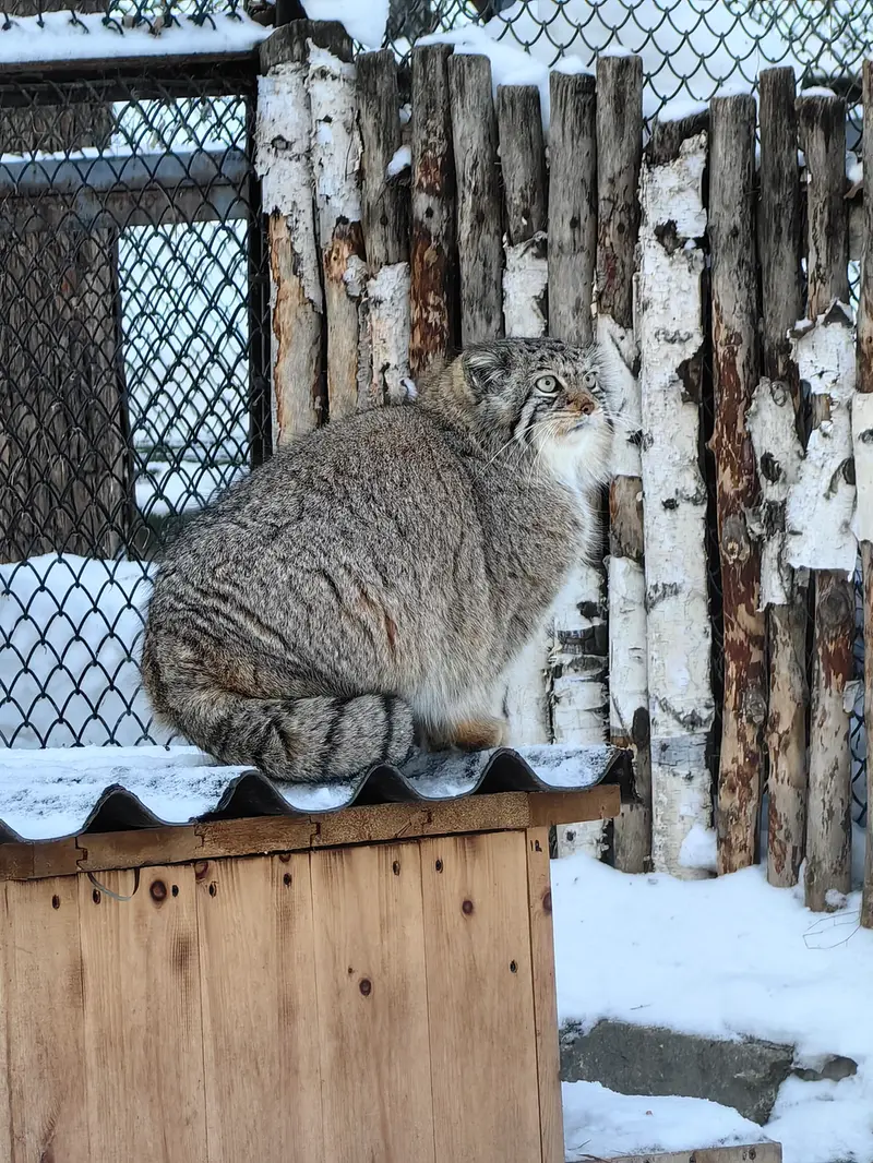 A photograph of Eve in Novosibirsk Zoo