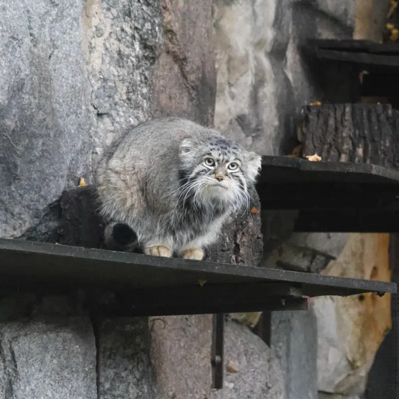 A photograph of Timofey in Moscow zoo