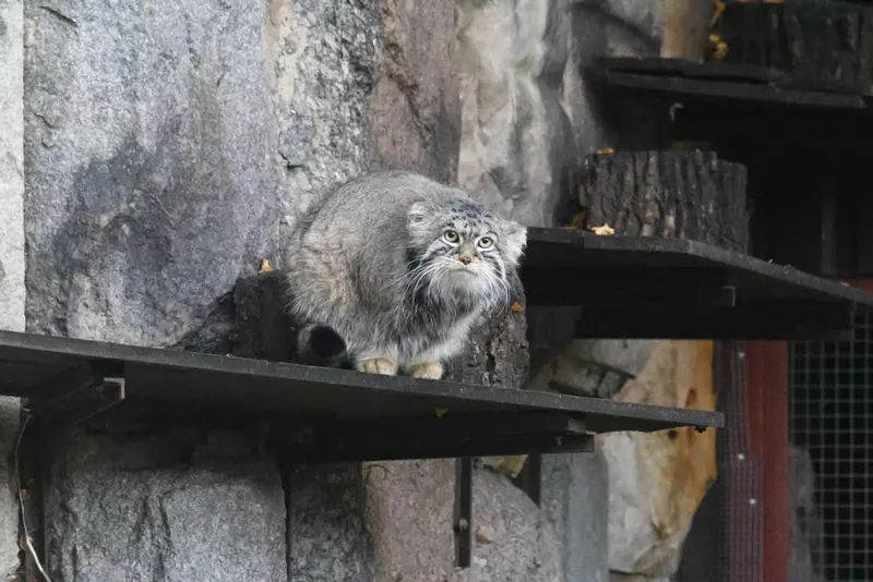 A photograph of Timofey in Moscow zoo
