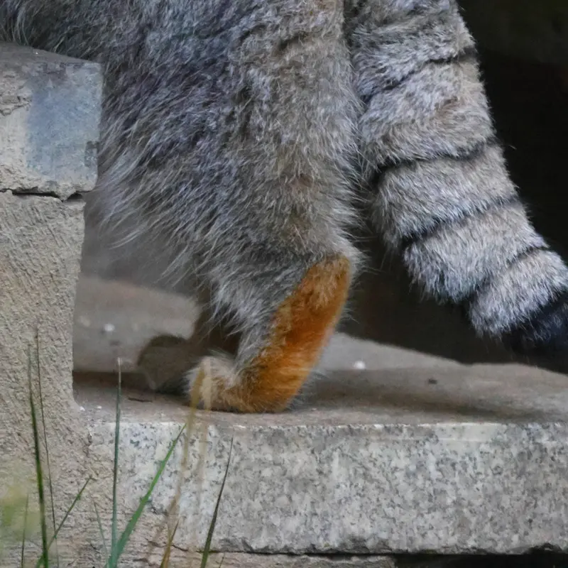 A photograph of Timofey in Moscow zoo
