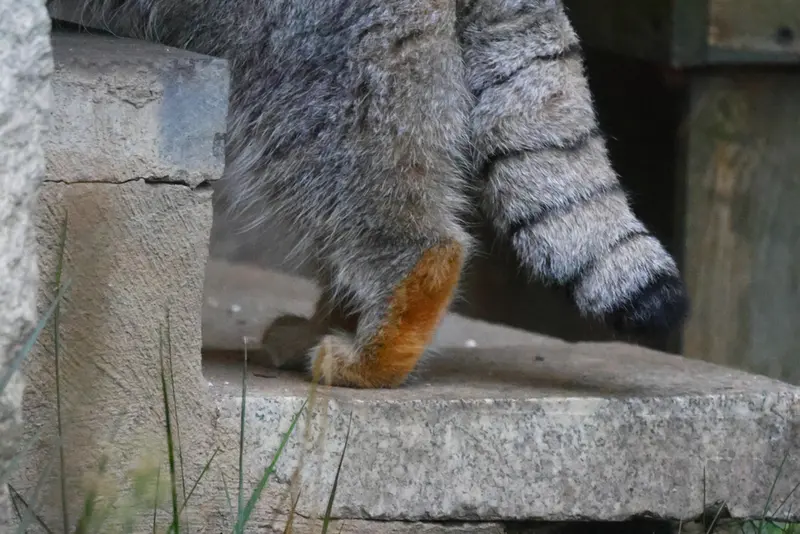 A photograph of Timofey in Moscow zoo