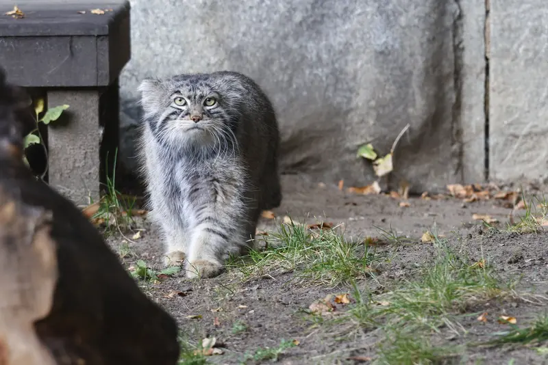 A photograph of Timofey in Moscow zoo
