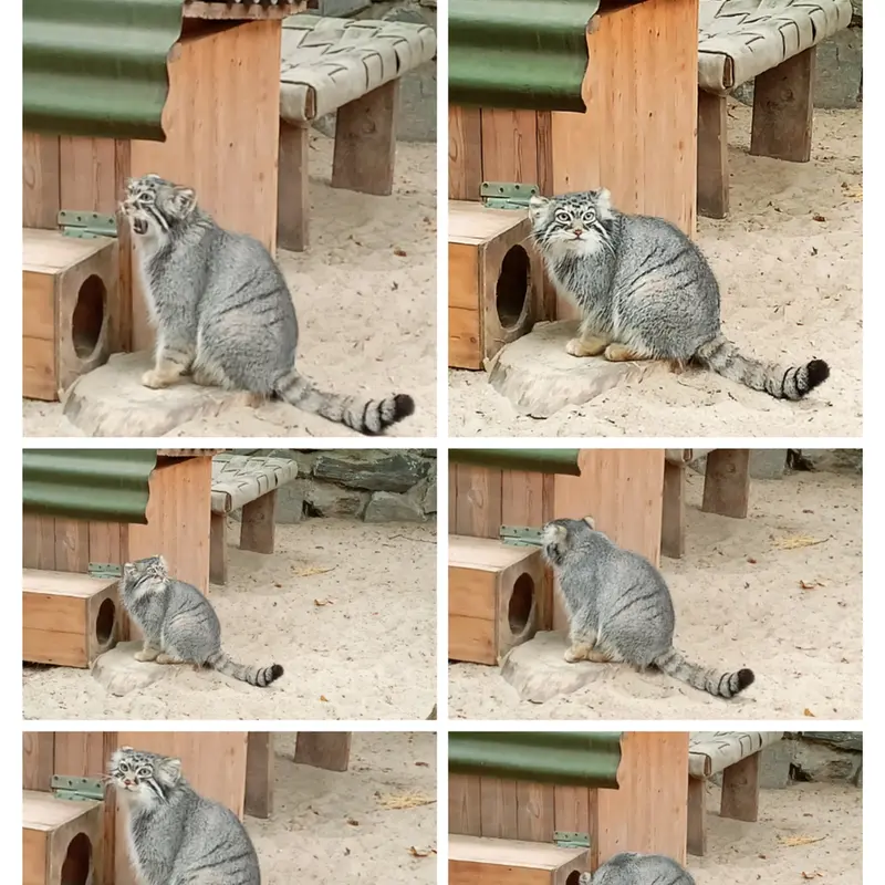 A photograph of Anya in Novosibirsk Zoo