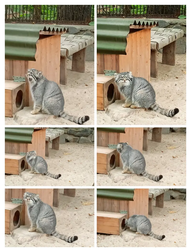 A photograph of Anya in Novosibirsk Zoo