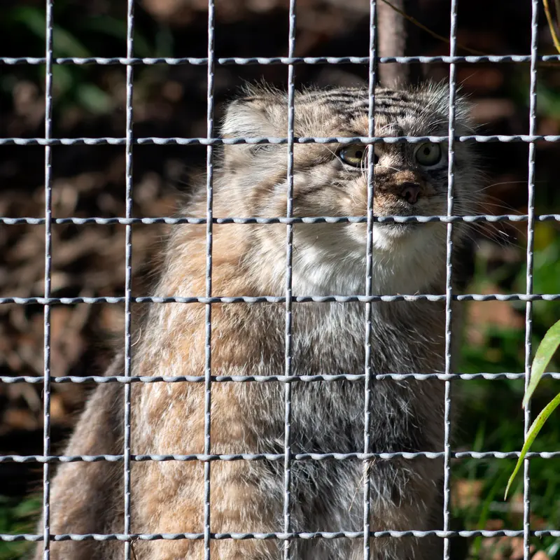 A photograph of Melissa in Lithuanian Zoo
