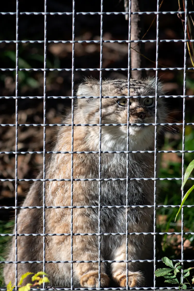 A photograph of Melissa in Lithuanian Zoo