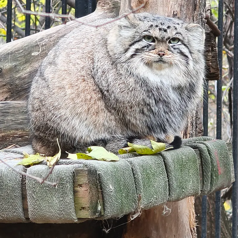 A photograph of Anya in Novosibirsk Zoo