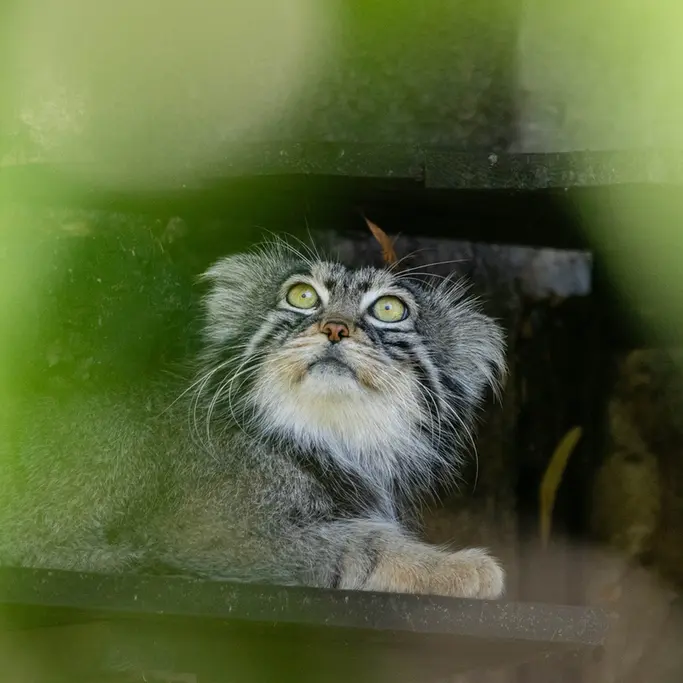 A photograph of Timofey in Moscow zoo