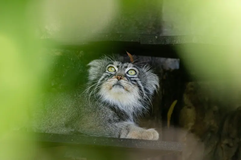 A photograph of Timofey in Moscow zoo