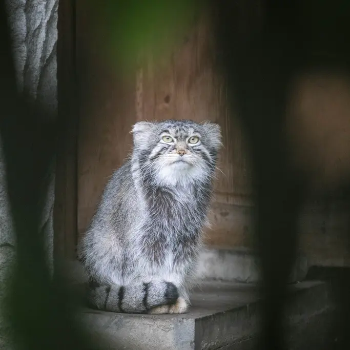 A photograph of Timofey in Moscow zoo