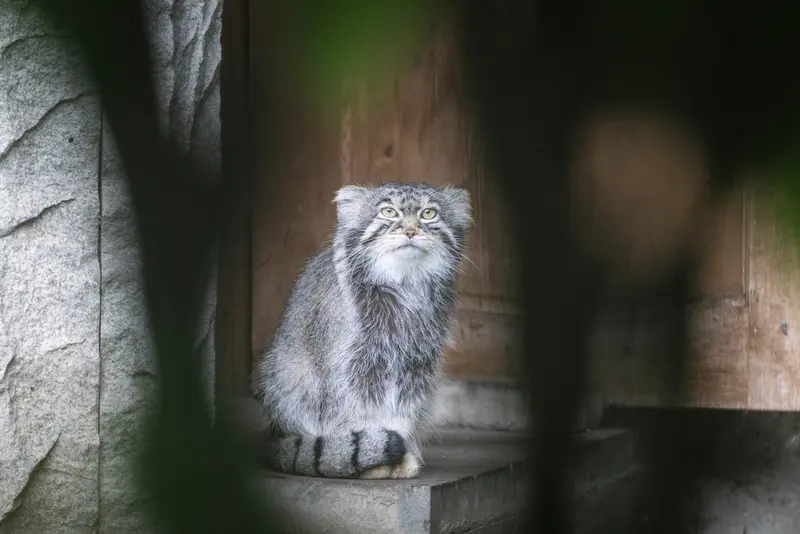 A photograph of Timofey in Moscow zoo