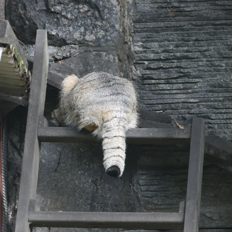 A photograph of Timofey in Moscow zoo