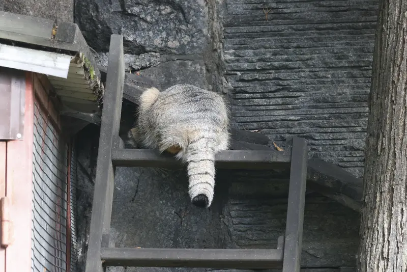 A photograph of Timofey in Moscow zoo