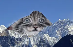 THEORY: Everest is the Everest mount