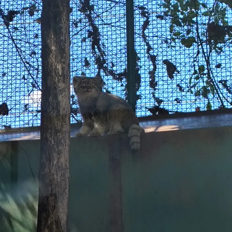 A photograph of Lucy in Budapest Zoo & Botanical Garden