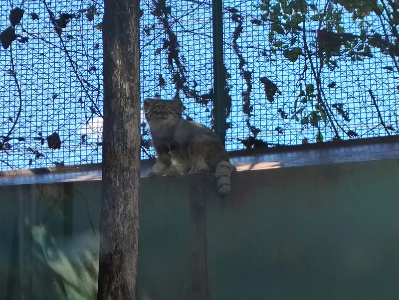 A photograph of Lucy in Budapest Zoo & Botanical Garden