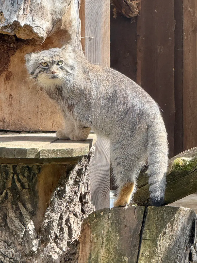 A photograph of Mars in Tallinn Zoo