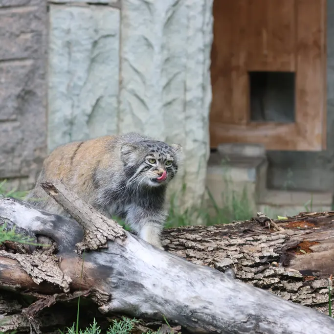 A photograph of Timofey in Moscow zoo