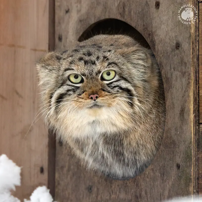 A photograph of Anya in Novosibirsk Zoo