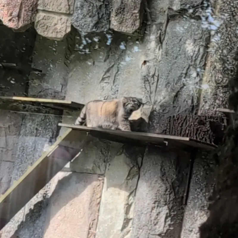 A photograph of Timofey in Moscow zoo
