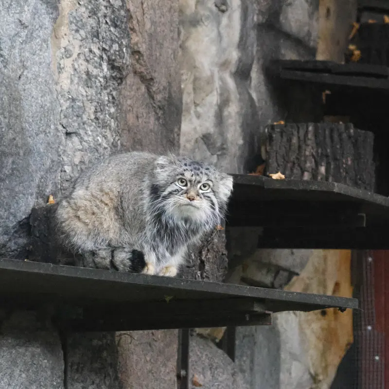 A photograph of Timofey in Moscow zoo