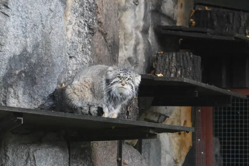 A photograph of Timofey in Moscow zoo