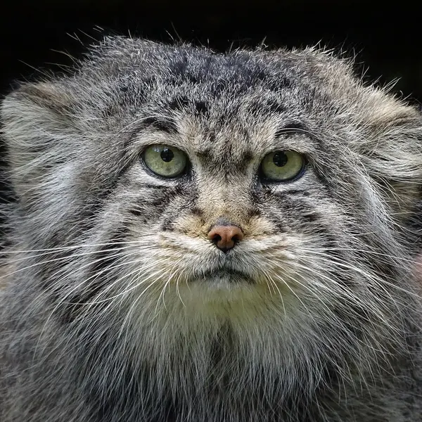 A photograph of Bjorn in Riga Zoo