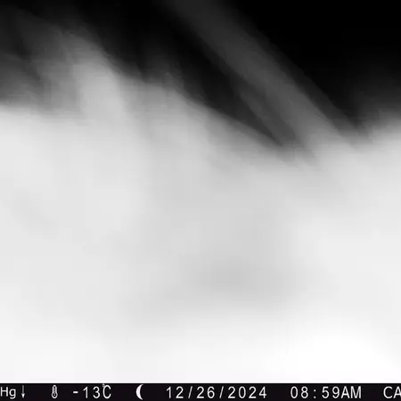 A photograph of Otocolobus manul manul from Zhilandy camera trap