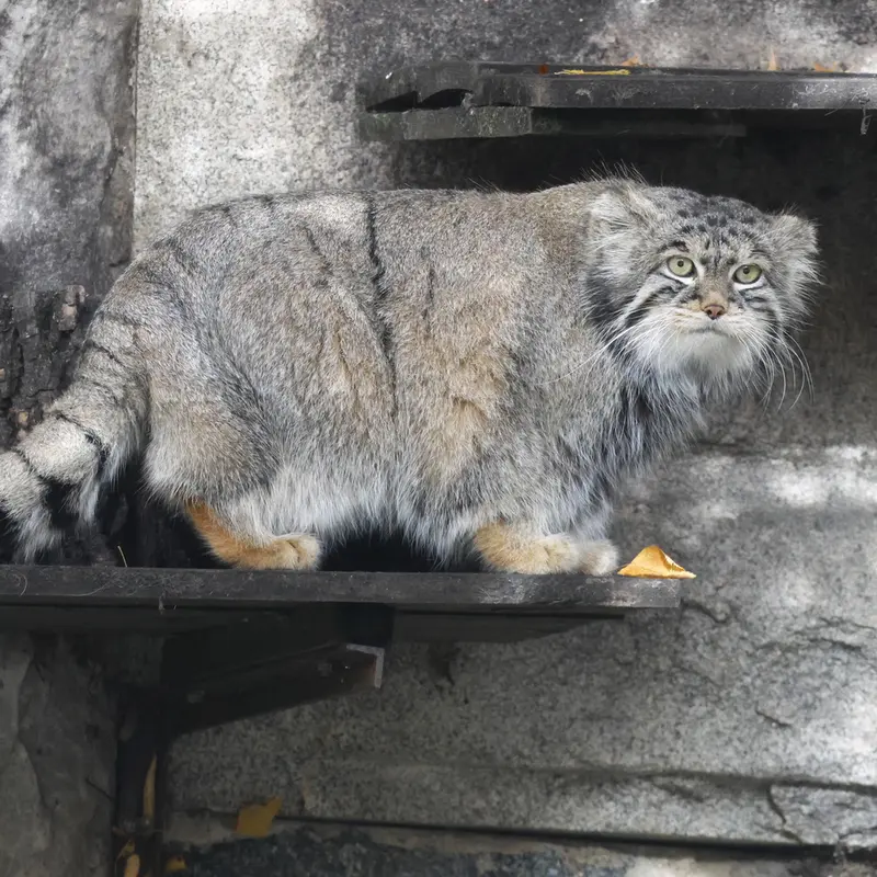 A photograph of Timofey in Moscow zoo