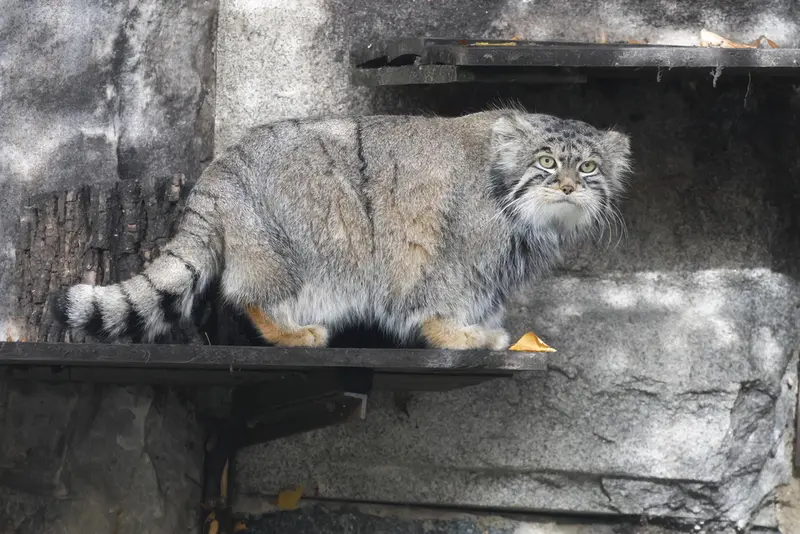 A photograph of Timofey in Moscow zoo