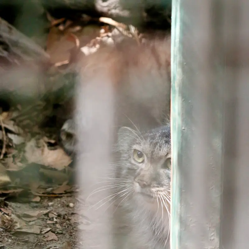 A photograph of Lucy in Budapest Zoo & Botanical Garden