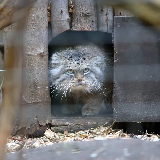 A photograph of Jessie in Warsaw Zoo