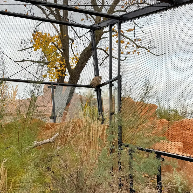 A photograph of Prinsessa in Prague Zoo