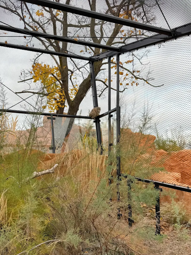 A photograph of Prinsessa in Prague Zoo