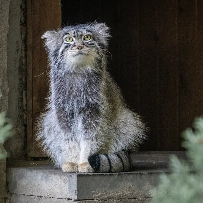 A photograph of Timofey in Moscow zoo