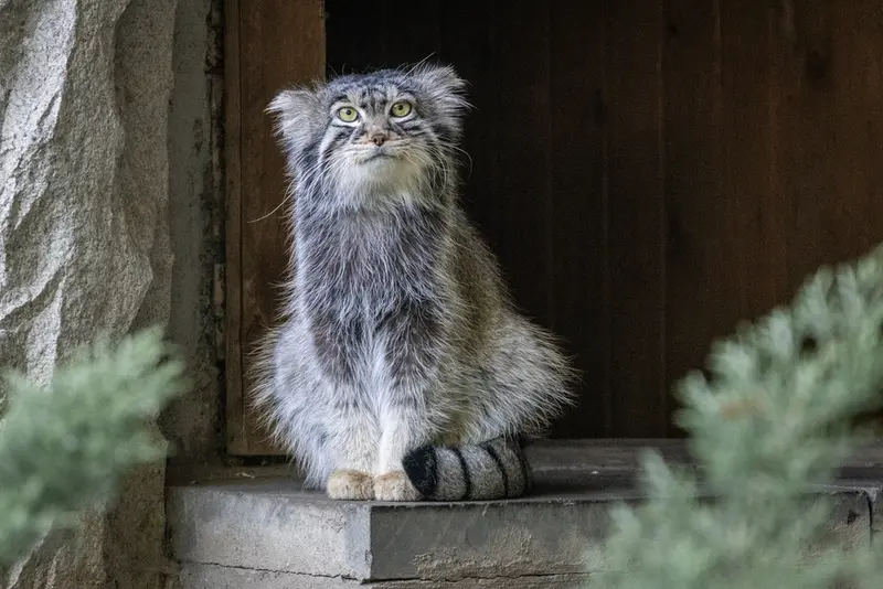 A photograph of Timofey in Moscow zoo