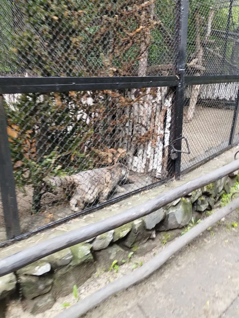 A photograph of Zelenogorsk in Novosibirsk Zoo