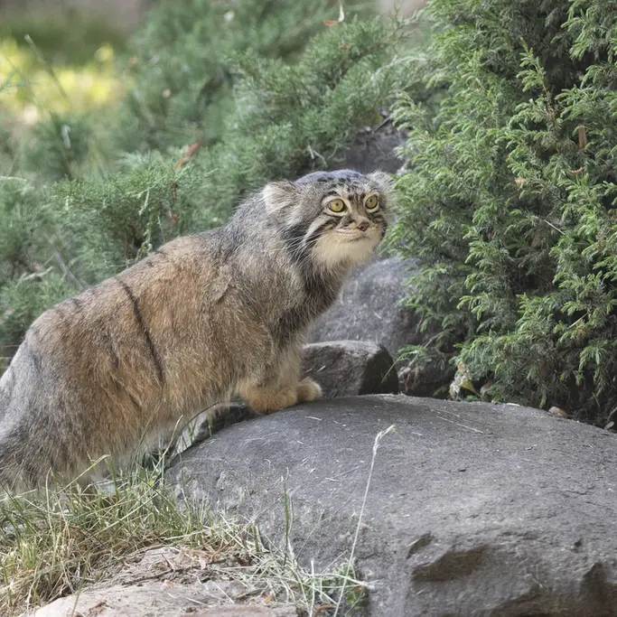 A photograph of Timofey in Moscow zoo