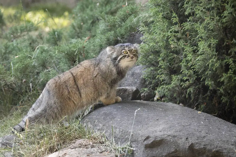 A photograph of Timofey in Moscow zoo