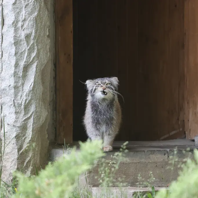 A photograph of Timofey in Moscow zoo