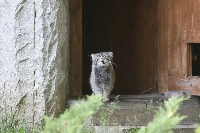 A photograph of Timofey in Moscow zoo