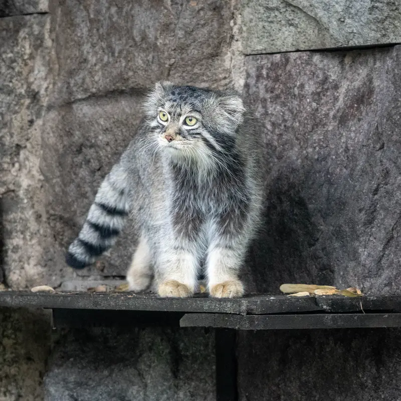A photograph of Timofey in Moscow zoo