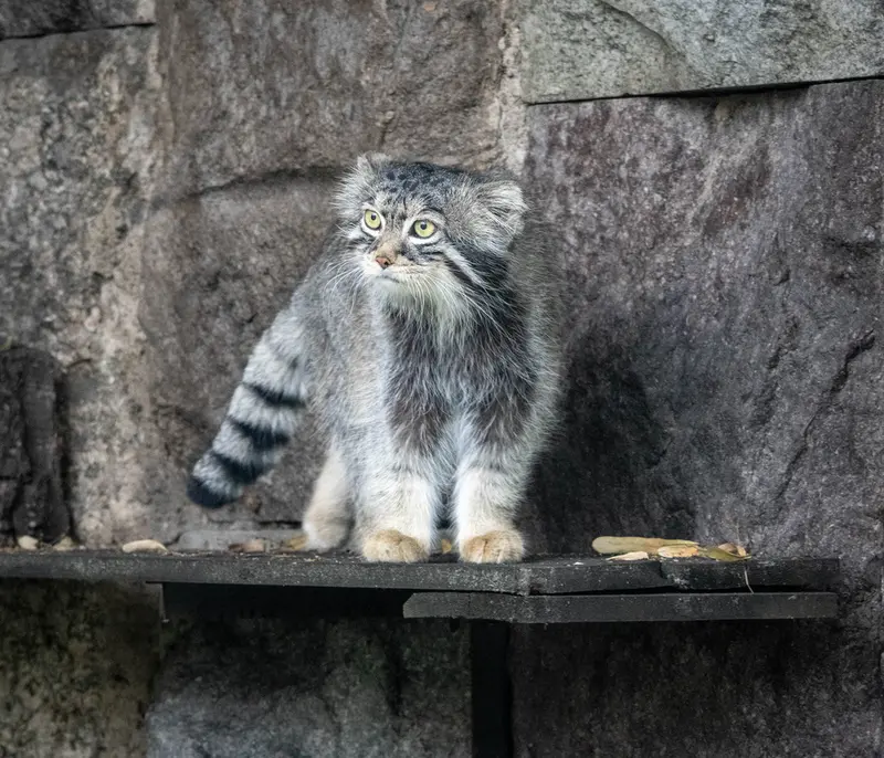 A photograph of Timofey in Moscow zoo