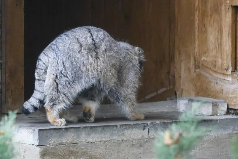 A photograph of Timofey in Moscow zoo